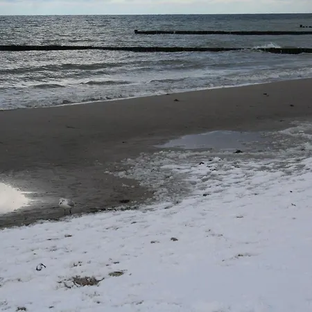 Ferienhaeuschen Hinz Wustrow (Fischland)